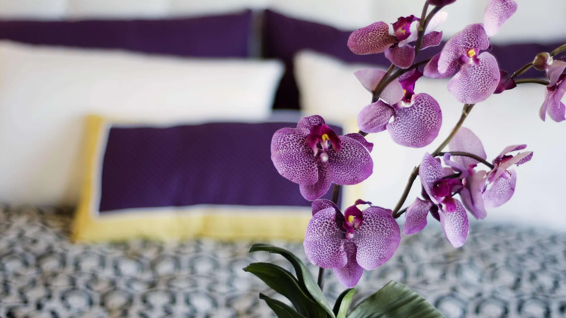 Allium Bodrum Resort & Spa Yalikavak Hotel